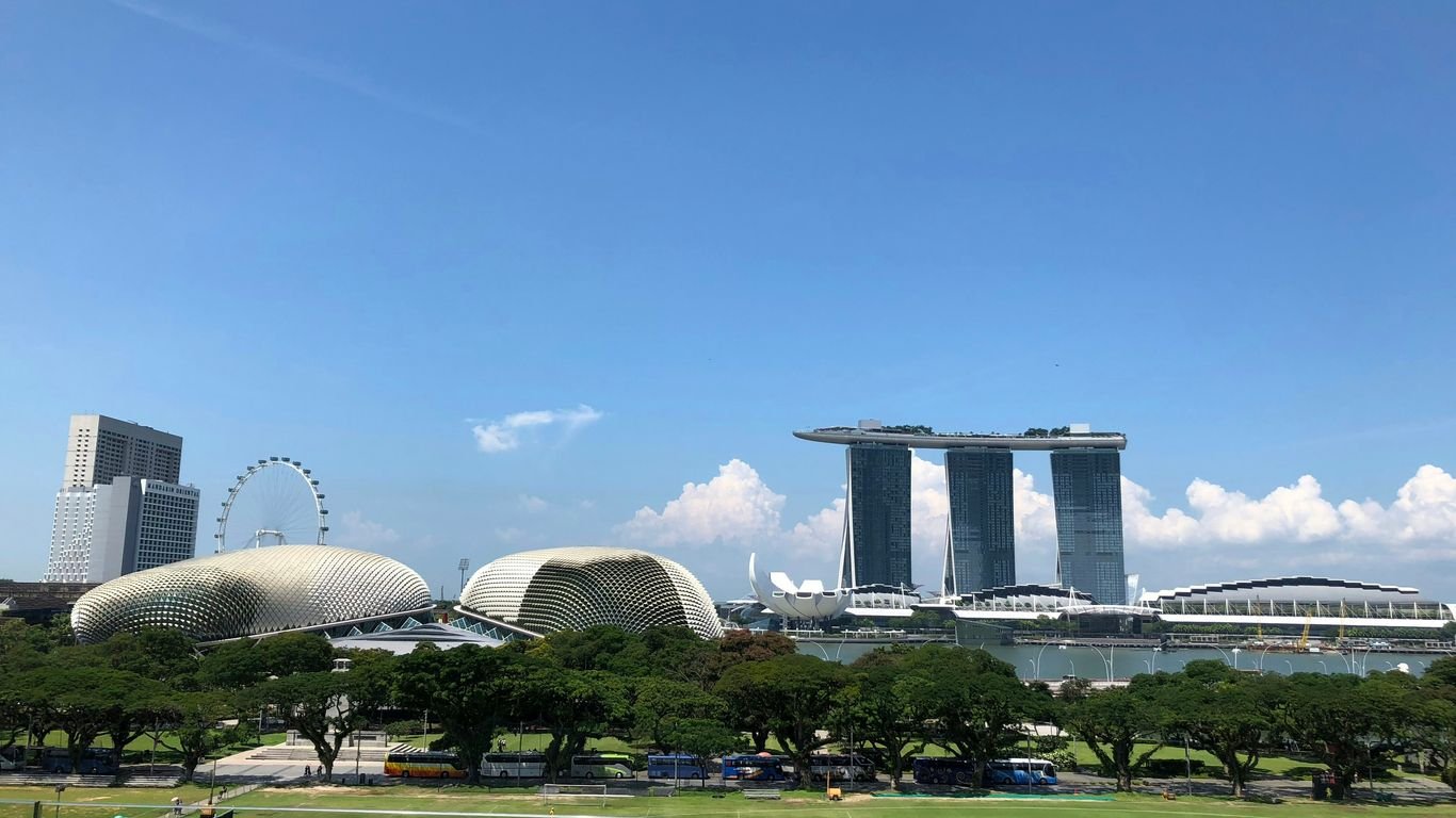 people walking on park during daytime