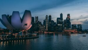 A beginner’s guide to TikTok ads in Singapore: Everything you need to know